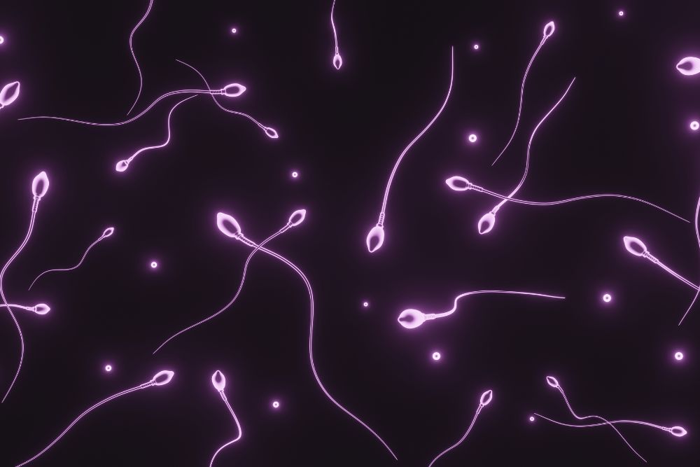 4 Key Facts About Semen Analysis for Fertility Testing
