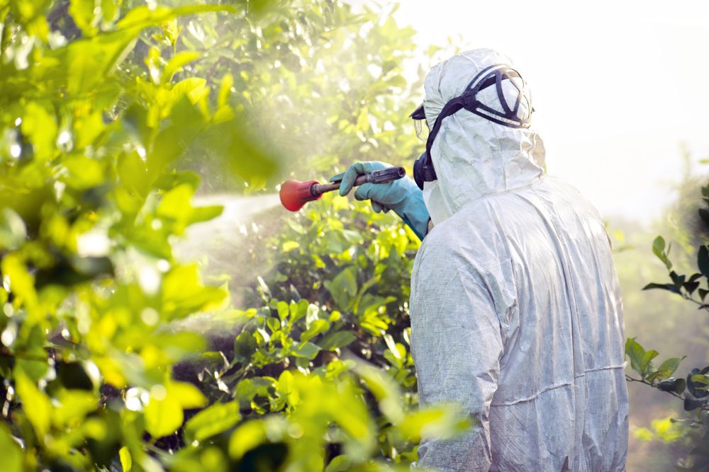 Maintaining Healthy Sperm: Pesticides and Tips for Optimal Fertility
