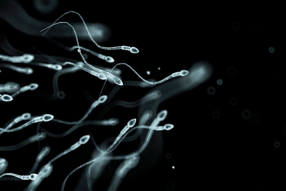 Sperm Washing & IUI: How They Work Together